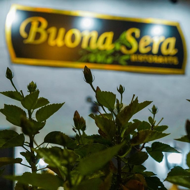 Welcome to Buona Sera Ristorante!